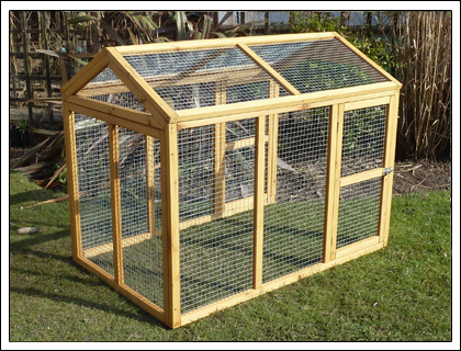 Chicken Coop And Chickens For Sale Birds For Sale With Free Pictures 
