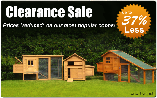 Chicken Coops Kits for Sale