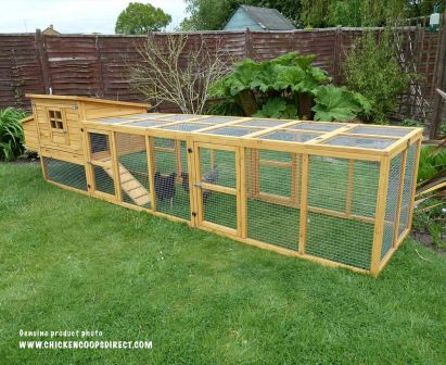 Shop Chicken Coops