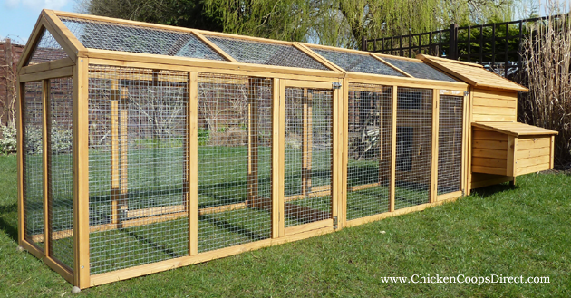 How big should a chicken run be for 2 chickens