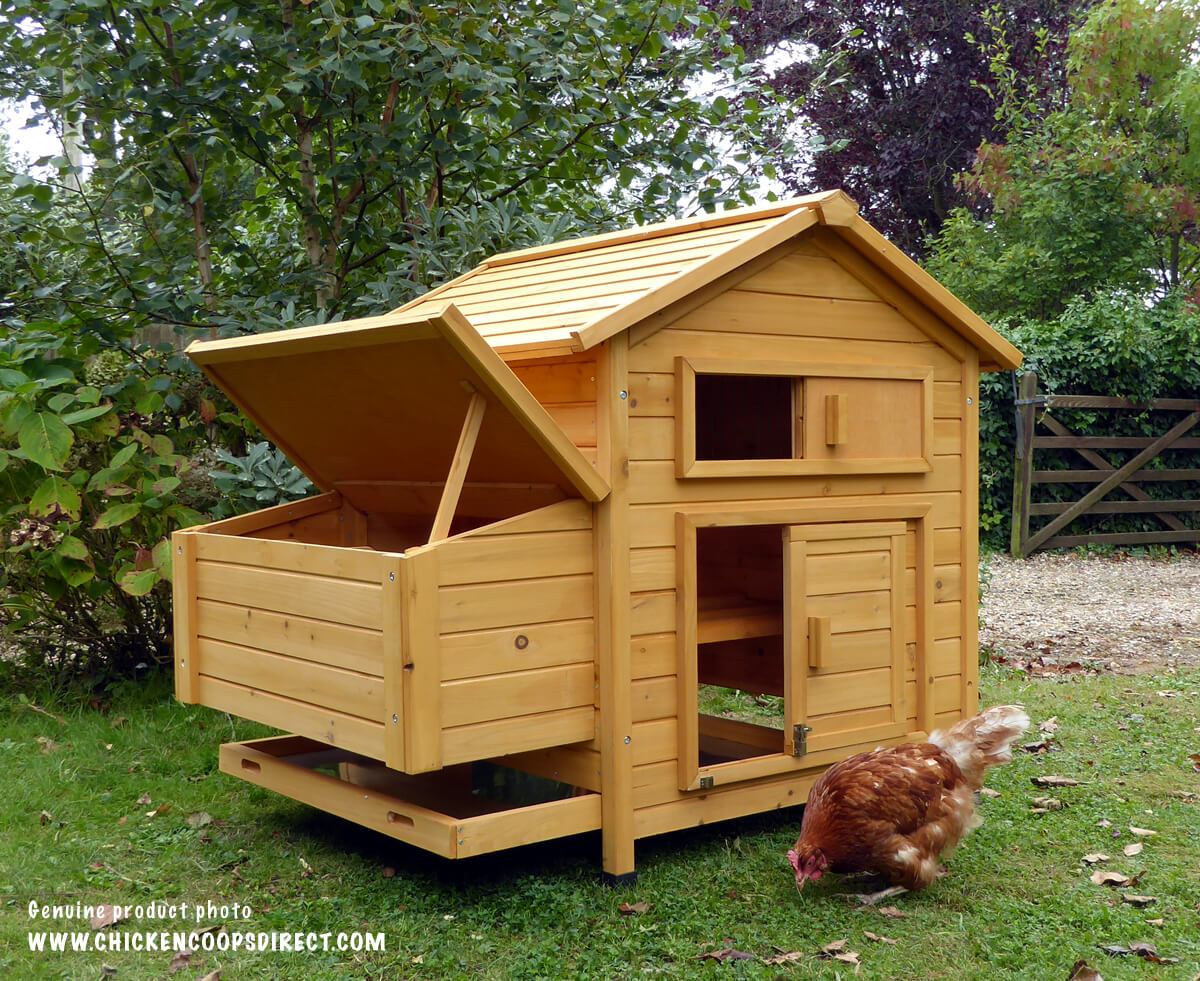 Attractive Hen House