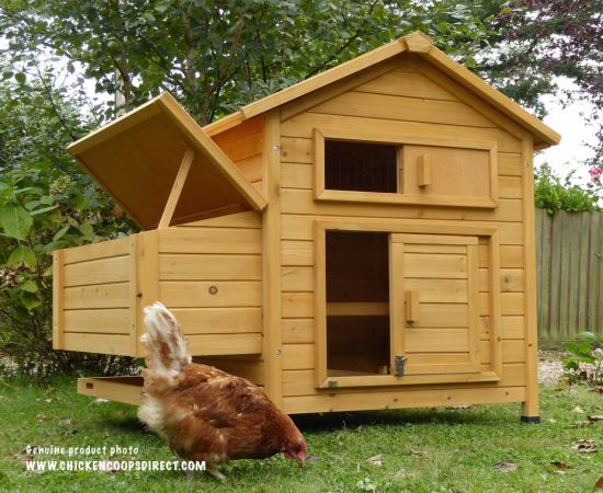 Chicken Coops Direct