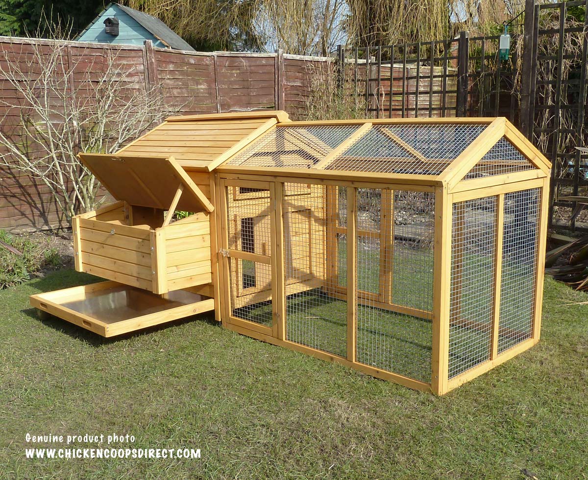 Chicken Coop And Run