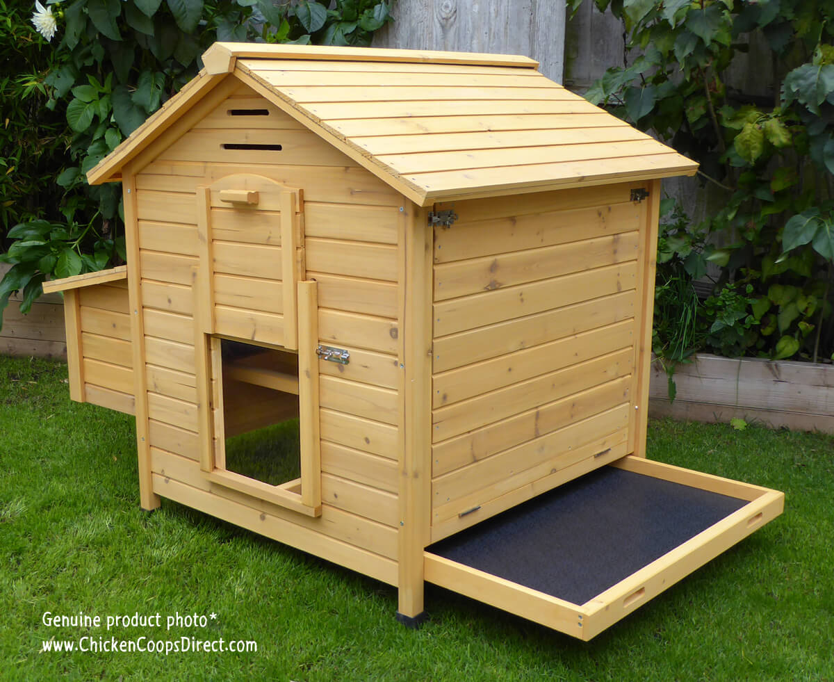Devon Chicken Coop