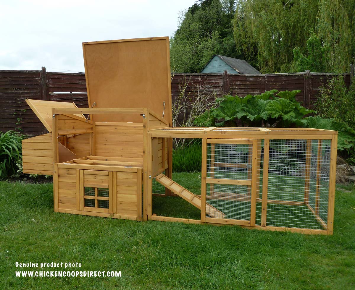 Dorset coop with sections open