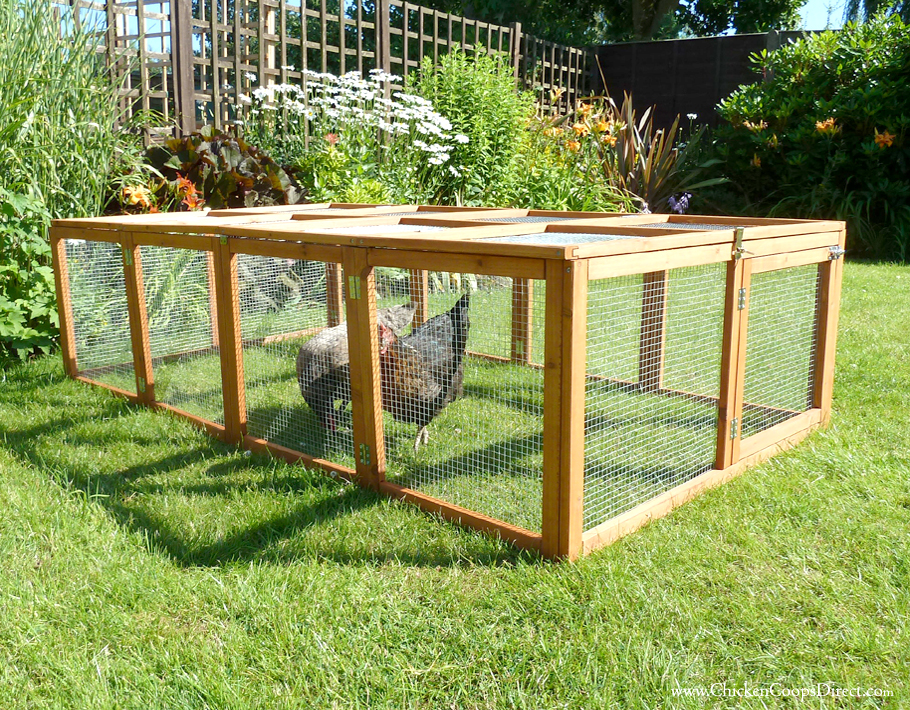 Chickens inside their folding run
