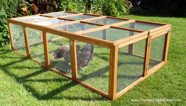 Chickens inside their folding run