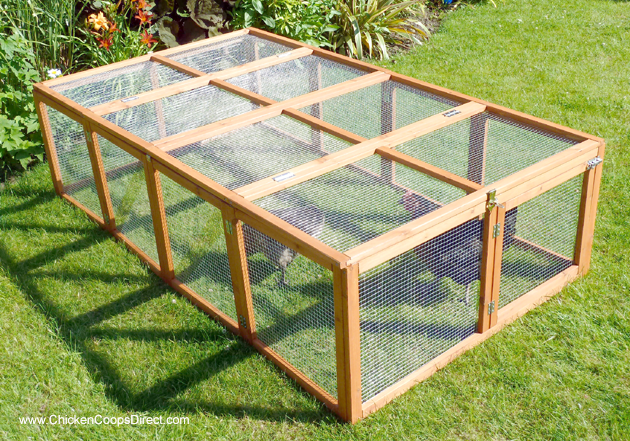 Chicken run
