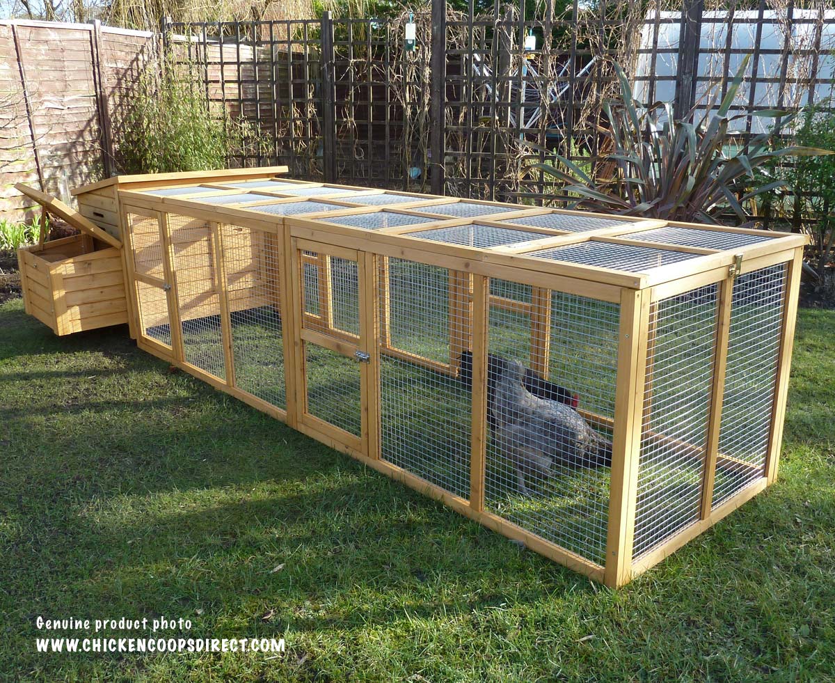 Kent Chicken Coop With Large Run