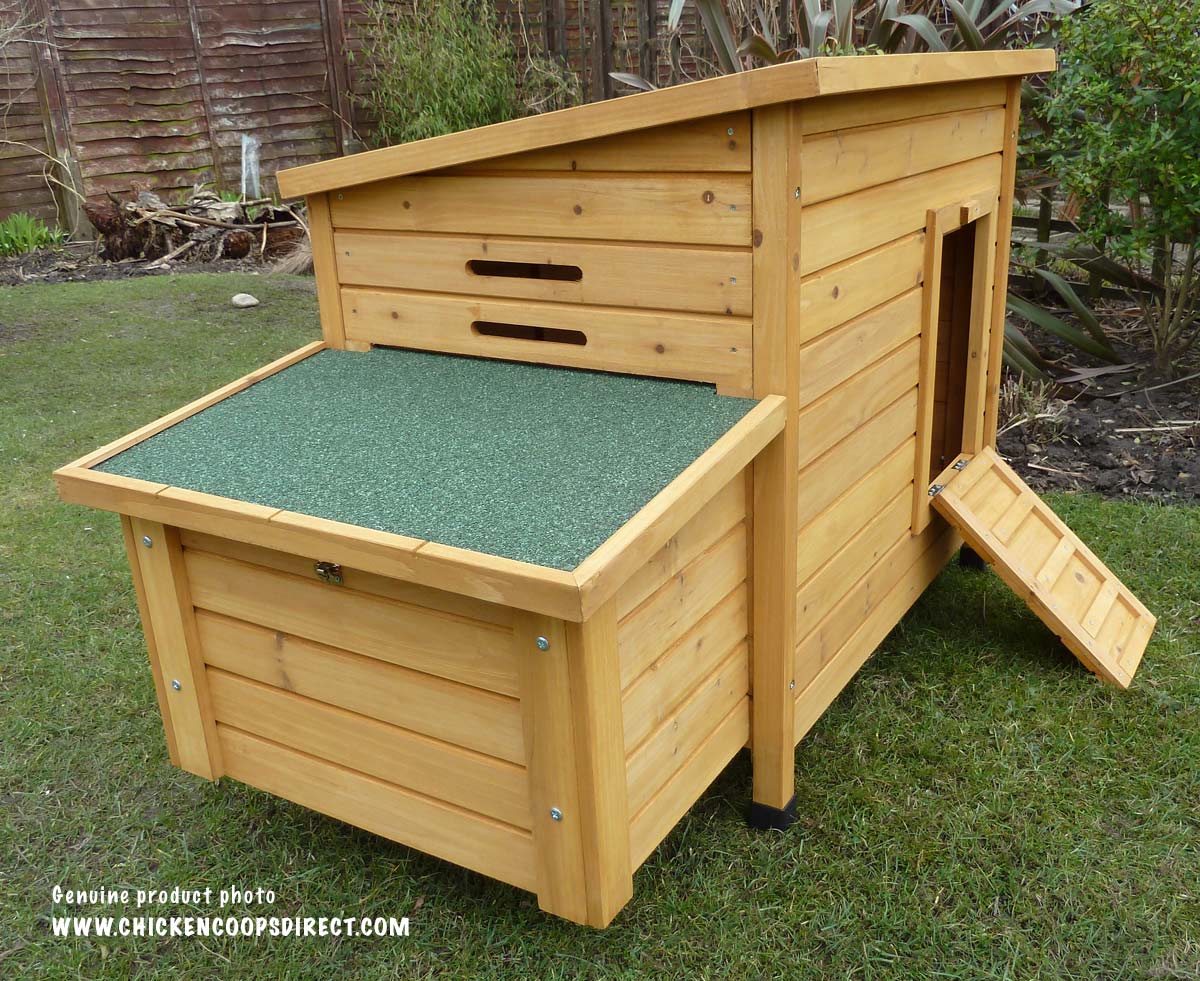Kent nesting box and ramp