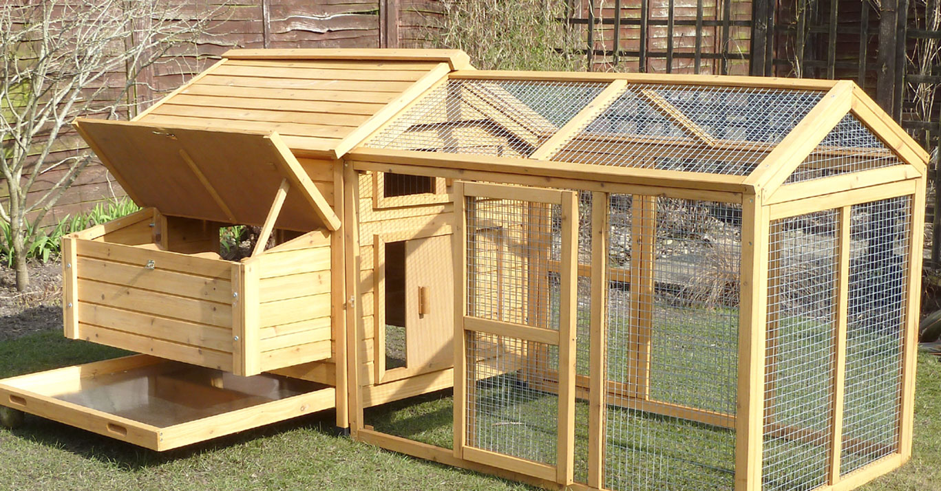 Chicken Coop Chicken House